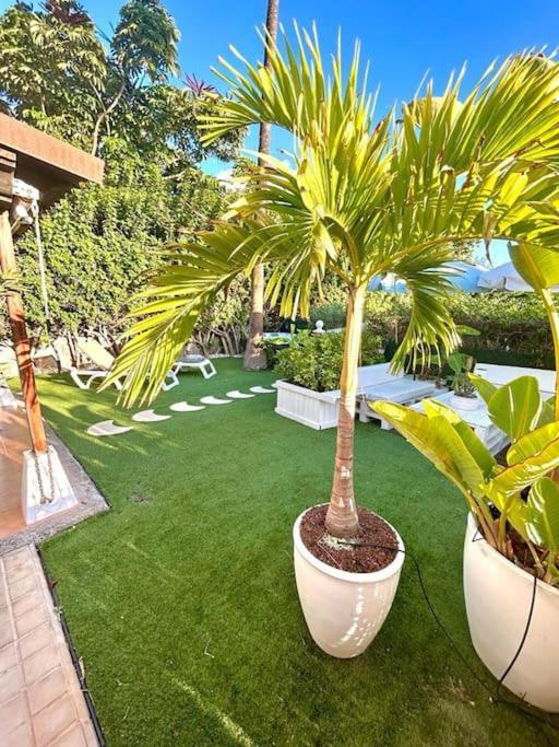 Tunos 33 Apartament